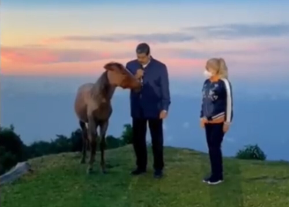 El video de Nicolás Maduro causa revuelo por hablarle a un caballo En las últimas horas un video del presidente de Venezuela, Nicolás Maduro, causó gran sensación y una ola de críticas, pues no deja de sorprender sus particulares acciones o declaraciones; en esta ocasión se puso a hablar con un caballo.
