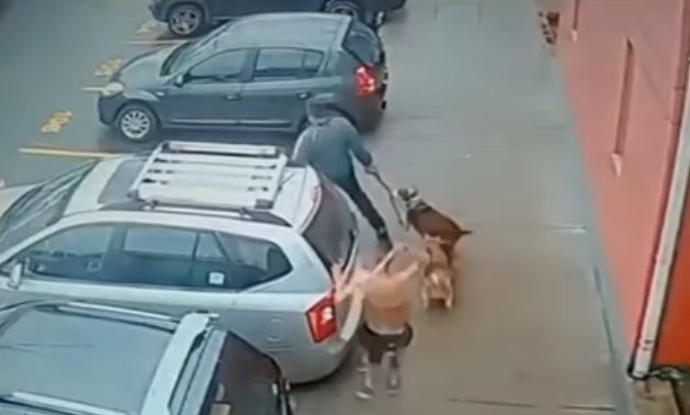 Intolerante agredió a dos perros con machete en Kennedy En video quedó gravada la agresión de un sujeto que agrede a machete a un ciudadano y a sus perros porque uno de los canes había hecho sus necesidades frente a su vivienda.
