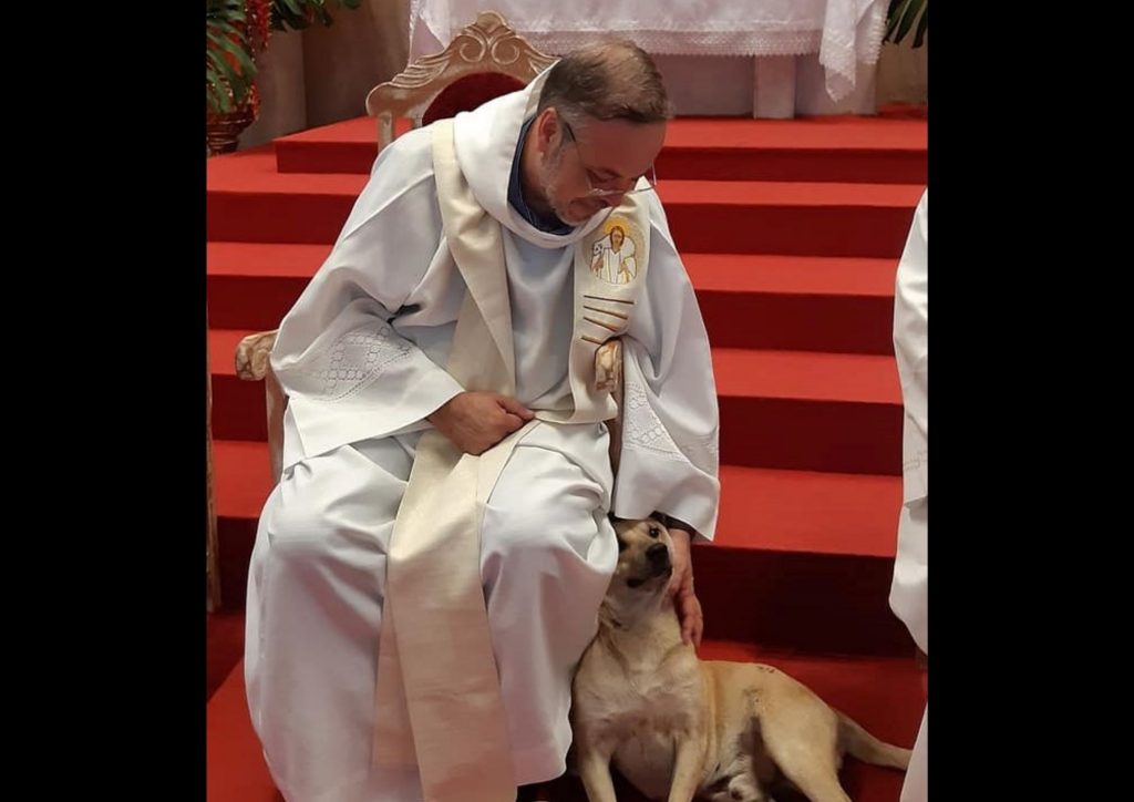 El sacerdote brasileño que rescata perritos y los lleva a eucaristía Al menos una docena de perritos callejeros han encontrado en el sacerdote brasileño João Paulo Araujo Gomes a su ángel guardián.