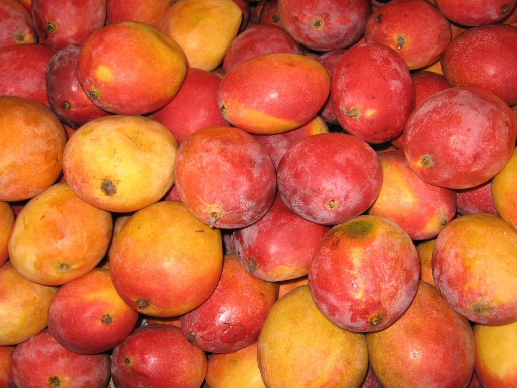 Luz verde para el mango colombiano en el mercado de EE.UU. El mango fresco colombiano ya tiene el visto bueno del Servicio de Inspección para la Salud Vegetal y Animal de Estados Unidos (Aphis, por sus siglas en inglés), para ingresar a ese mercado.