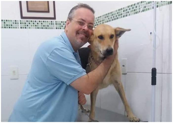 El sacerdote brasileño que rescata perritos y los lleva a eucaristía Al menos una docena de perritos callejeros han encontrado en el sacerdote brasileño João Paulo Araujo Gomes a su ángel guardián.