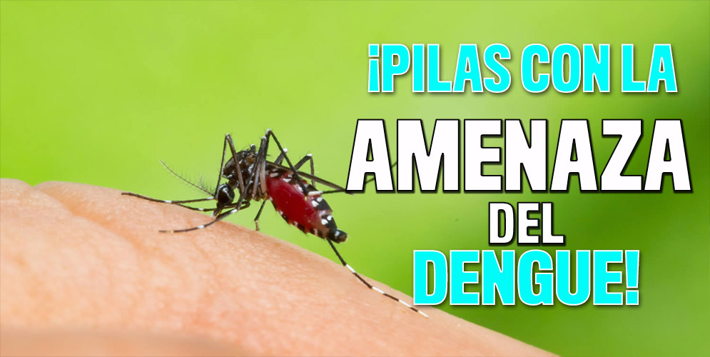 ¡Pilas con la amenaza del dengue! Mientras Colombia parece estar dejando lo peor de la pandemia del COVID 19 atrás, hay otra enfermedad viral que está cobrando fuerza en el país y la cual, con varios repuntes en casos positivos, encendió las alarmas del Ministerio de Salud y de los especialistas en la materia.