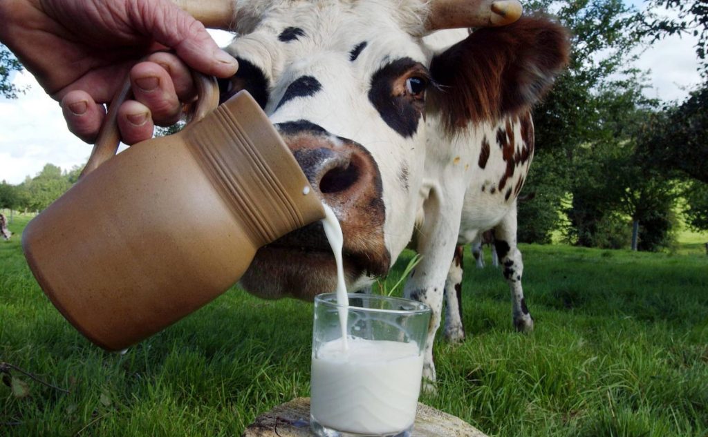 El panorama de la leche en nuestro país A comienzos de este mes, la Asociación Colombiana de Procesadores de Leche (Asoleche) informó que en el país había una disminución significativa en la producción de líquido, lo que venía afectando al sector lácteo y, en últimas, al consumidor final.
