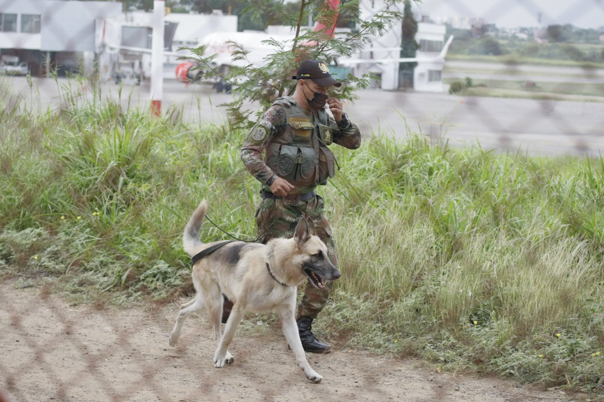 266 militares y policías fueron víctimas de explosivos en 2021 Un informe de la Corporación 'MilVíctimas' reveló que el año pasado 266 militares y policías fueron víctimas de artefactos explosivos en Colombia, de los cuales 37 perdieron la vida.