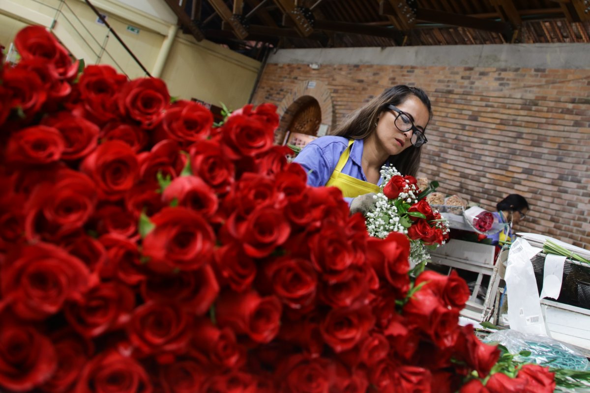 Exportaciones de flores colombianas llegaron a la cifra más alta de la historia El 2021 fue un año histórico para el sector floricultor colombiano. Si bien aumentaron los costos de producción por la implementación de medidas de bioseguridad, la pandemia incentivó la compra de flores en todo el mundo porque las personas permanecieron más tiempo en casa.