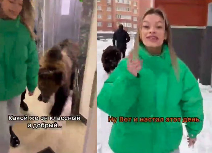 EN VIDEO: Mujer lleva un oso pardo a su apartamento para mostrárselo su hijo En redes sociales se han vuelto virales las imágenes de una tiktoker de 21 años que llevó a un apartamento en Moscú (Rusia) a un oso pardo de 200 kilogramos, esto con el fin de mostrárselo a su hijo de un año de edad.