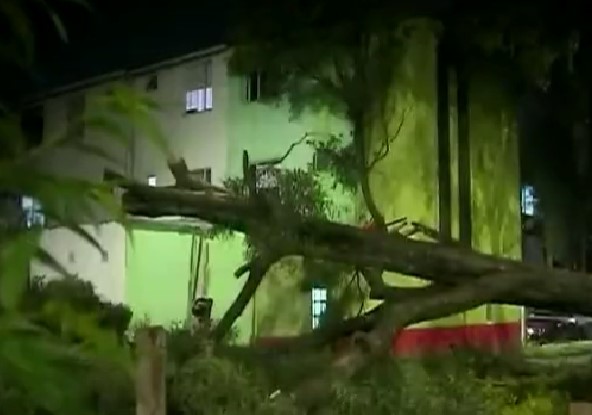 Emergencia en Engativá por la caída de un árbol Un estruendoso sonido alertó a los residentes y transeúntes que en horas de la noche se encontraban en el barrio Villas de Granada. Allí un árbol de más de 15 metros de altura se cayó y causó afectaciones materiales.