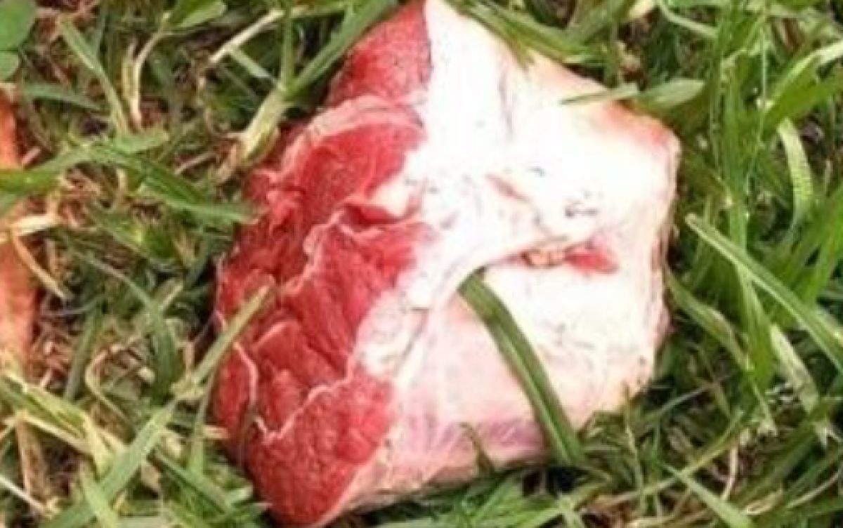 ¡Cuidado! Ponen carne envenenada en parques de Bogotá para matar mascotas A través de las redes sociales se han realizado diferentes denuncias en las que propietarios de mascotas, e incluso las administraciones de algunos conjuntos residenciales aseguran que mal intencionados están dejando carne envenenada en los parques de Bogotá, para que los animalitos de compañía resulten afectados.