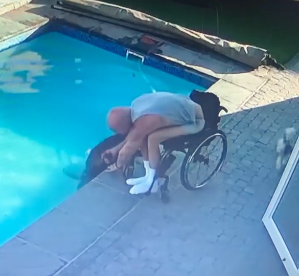 EL VIDEO: Hombre en silla de ruedas salvó a su perro de morir ahogado en la piscina En las redes sociales se ha hecho viral el video de un hombre que, a pesar de estar en silla de ruedas, hace todo lo posible por ayudar a su perro que cayó a la piscina. Su maravilloso gesto se ha llevado los elogios y los aplausos de los internautas.