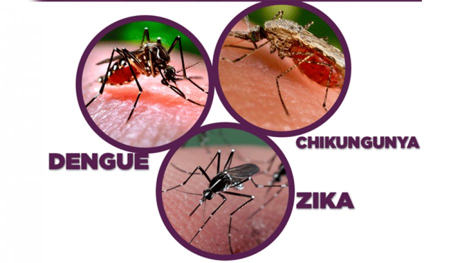 Minsalud reitera advertencia por dengue, zika y chikungunya en Semana Santa El Ministerio de Salud volvió a emitir recomendaciones para prevenir los contagios de dengue, zika y chikunguña durante esta Semana Santa.
