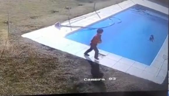 EN VIDEO: niño de 5 años salva a su perro de morir ahogado Un pequeño niño de tan solo 5 años se lanzó a una piscina para salvar a su mascota, un cachorro de tan solo dos meses, que duro en el agua intentando no ahogarse durante unos 15 minutos.