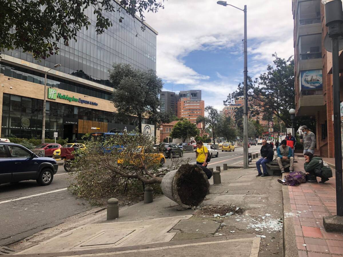 Árbol se le cayó encima a dos personas en Chapinero   En la calle 67 con carrera séptima, un árbol se vino abajo y le cayó encima a dos personas que iban caminando por la zona.