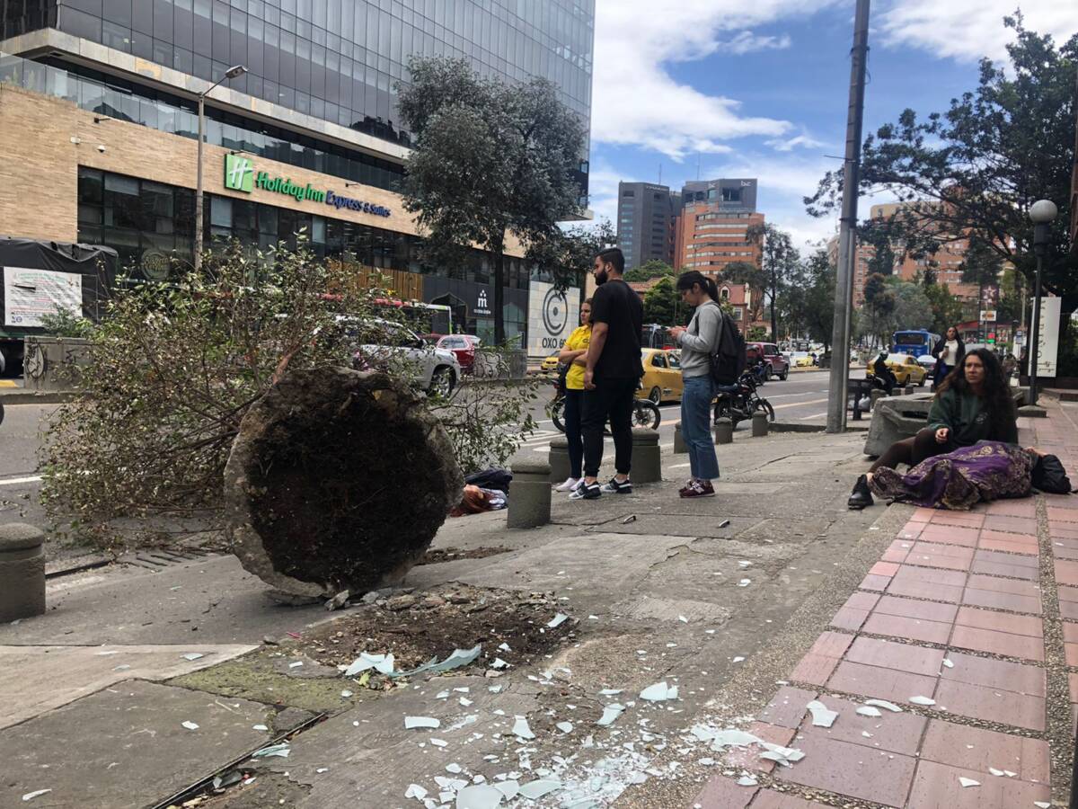 Árbol se le cayó encima a dos personas en Chapinero   En la calle 67 con carrera séptima, un árbol se vino abajo y le cayó encima a dos personas que iban caminando por la zona.