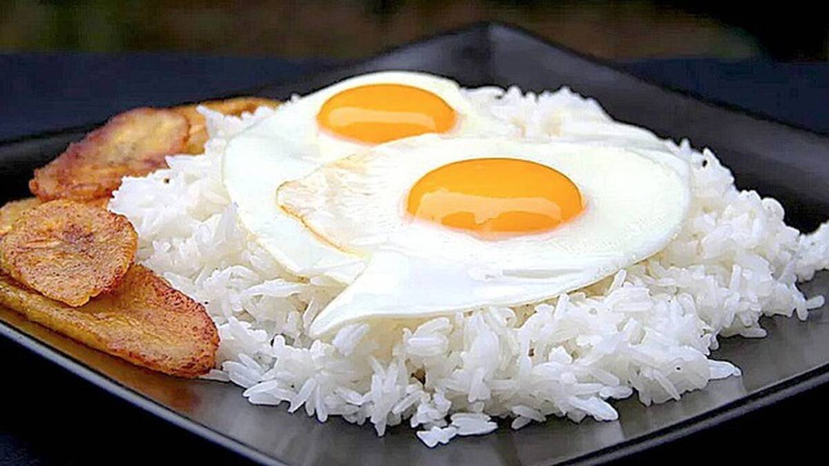 ¿Comer arroz con huevo todos los días es bueno o malo? Conozca los riesgos o beneficios de comer diariamente arroz con huevo, un 'plato de guerra' de los colombianos.