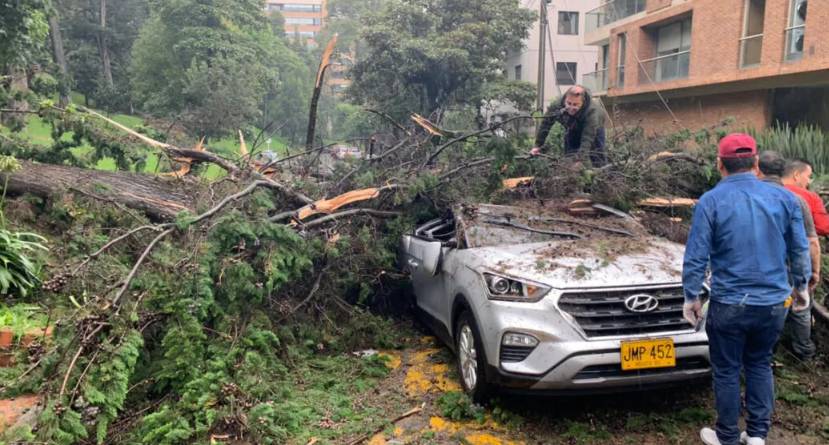 Niños quedaron heridos: árbol se cayó encima de un carro en el norte de Bogotá Debido a las fuertes lluvias que se han presentado en la capital del país, varios árboles se han visto afectado y esto ha generado accidentes.
