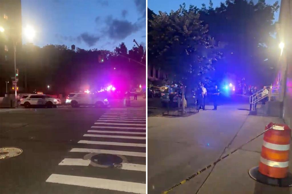 Una mujer murió tras recibir un disparo mientras paseaba a su bebé en coche Una mujer muerió la noche de este miércoles tras recibir un disparo en la cabeza mientras llevaba un cochecito de bebé en la zona de 'Upper East Side' en Nueva York, Estados Unidos.