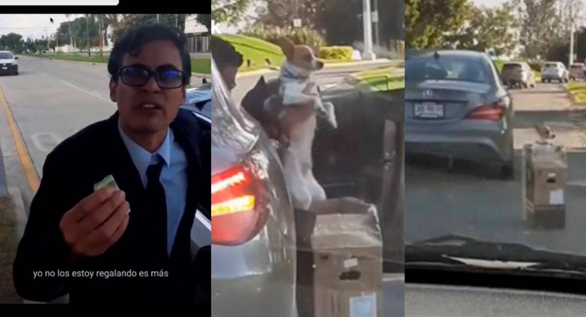 Desalmado hombre abandonó a su perro en la calle y dos jóvenes lo enfrentaron En TikTok se ha viralizado un video donde aparece un hombre abandonando a su perro dentro de una caja en medio de la vía.