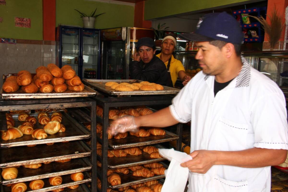 ¡A cuidar el bolsillo! pan podría subir más de precio Panaderos han afirmado que los costos de la materia prima están por las nubes, debido a esto se verían obligados a subirle el precio a los productos de panadería.