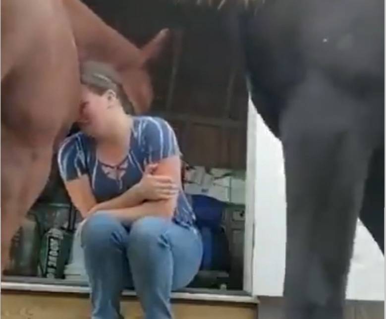 EN VIDEO: Caballo abraza a una mujer que llora por la muerte de su padre A los animales solo les falta hablar y eso quedó demostrado en un conmovedor video donde un caballo consuela a una mujer que llora.
