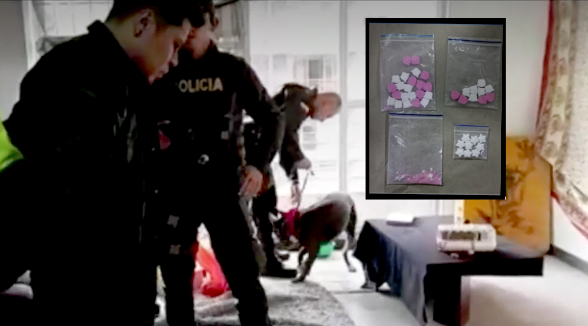 Cayó banda que elaboraba droga sintética en un apartamento de Castilla La Policía Antinarcóticos hizo la redada que permitió la captura un integrante de una banda delincuencial que producía y vendía droga en Castilla, al suroccidente de Bogotá.