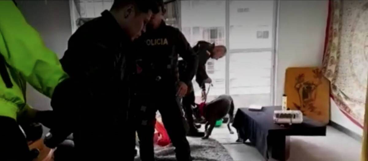 Cayó banda que elaboraba droga sintética en un apartamento de Castilla La Policía Antinarcóticos hizo la redada que permitió la captura un integrante de una banda delincuencial que producía y vendía droga en Castilla, al suroccidente de Bogotá.