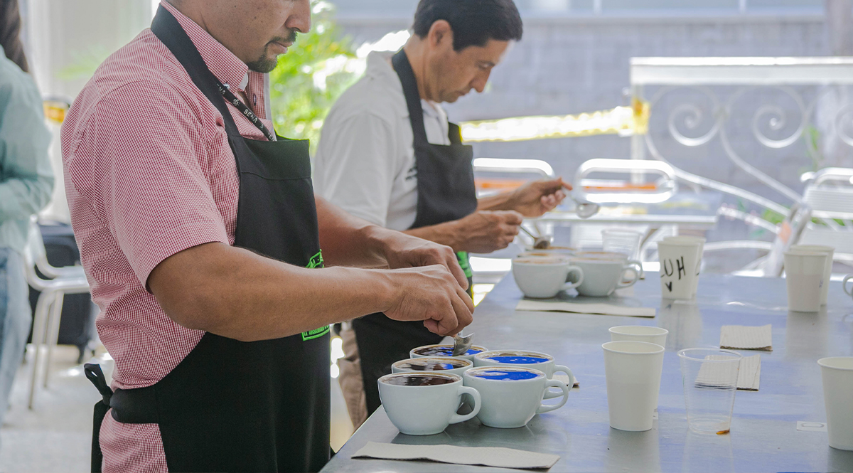 ¡Ya arrancó! Todo lo que necesita saber sobre el Coffee Master Los participantes podrán votar por su bebida favorita a través de www.coffeemastercolombia.com y allí se escogerán los 5 mejores para participar en la final.