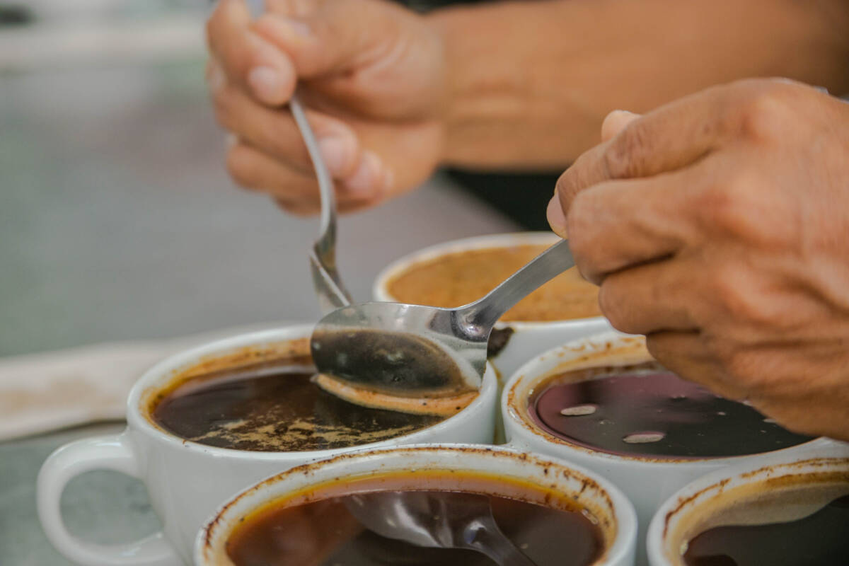¡Ya arrancó! Todo lo que necesita saber sobre el Coffee Master Los participantes podrán votar por su bebida favorita a través de www.coffeemastercolombia.com y allí se escogerán los 5 mejores para participar en la final.