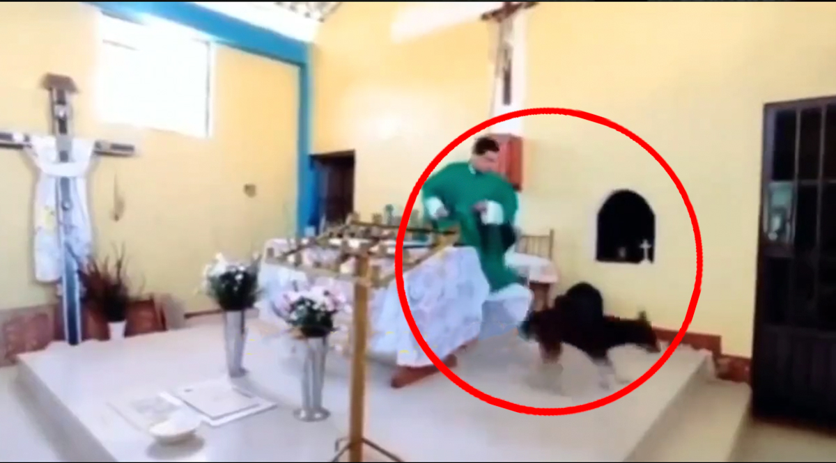 Tremenda patada de sacerdote a perrito En las redes sociales ha circulado un video en el que se observa el reprochable acto de un sacerdote que pateó a un perrito en plena misa.