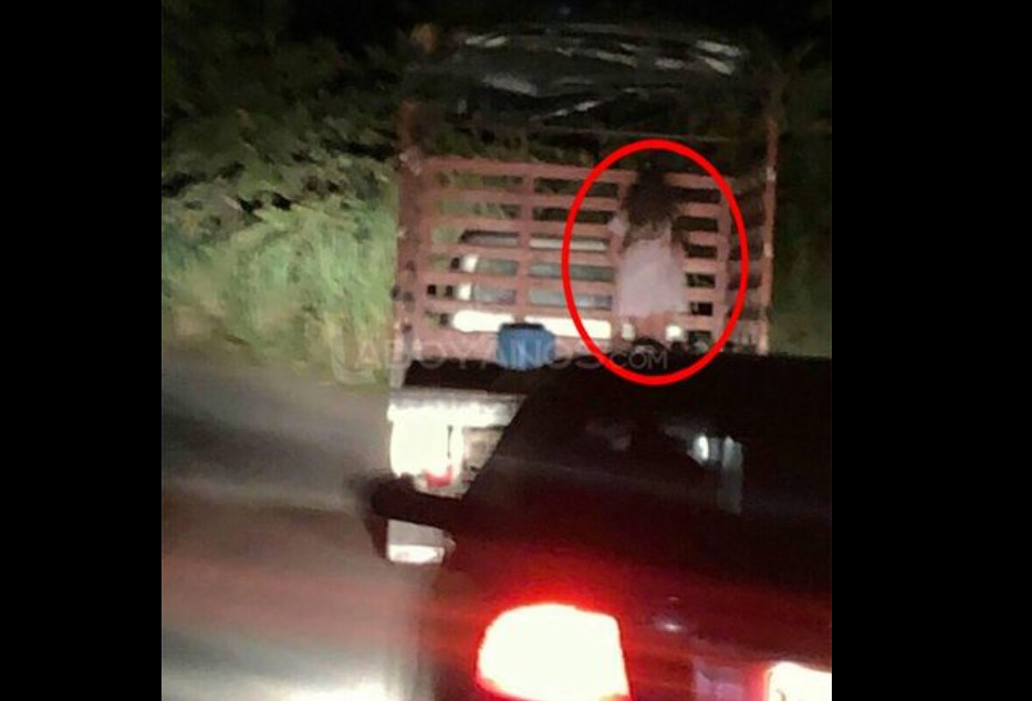 Aterradora imagen de 'niña fantasma' en un camión causa conmoción en redes Una inquietante imagen de una niña fantasma colgada de la parte trasera de un camión le da la vuelta al mundo a través de las redes sociales. La imagen fue captada en una carretera del departamento del Tolima.