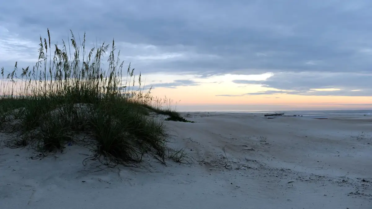Turista murió mientras filmaba el amanecer en una playa El trágico hecho en el que un hombre de 35 años murió sepultado bajo la arena sucedió cerca de una duna en las playas de la isla de Hutchinson, Florida (EE.UU).