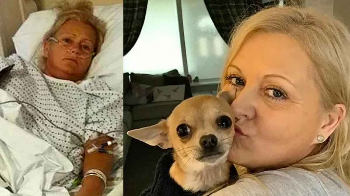 Asqueroso: mujer probó las heces de su perrita y terminó hospitalizada Amanda Gommo, una mujer de 51 años de edad, pasó un desagradable y asqueroso momento cuando por error terminó comiéndose las heces de su mascota.
