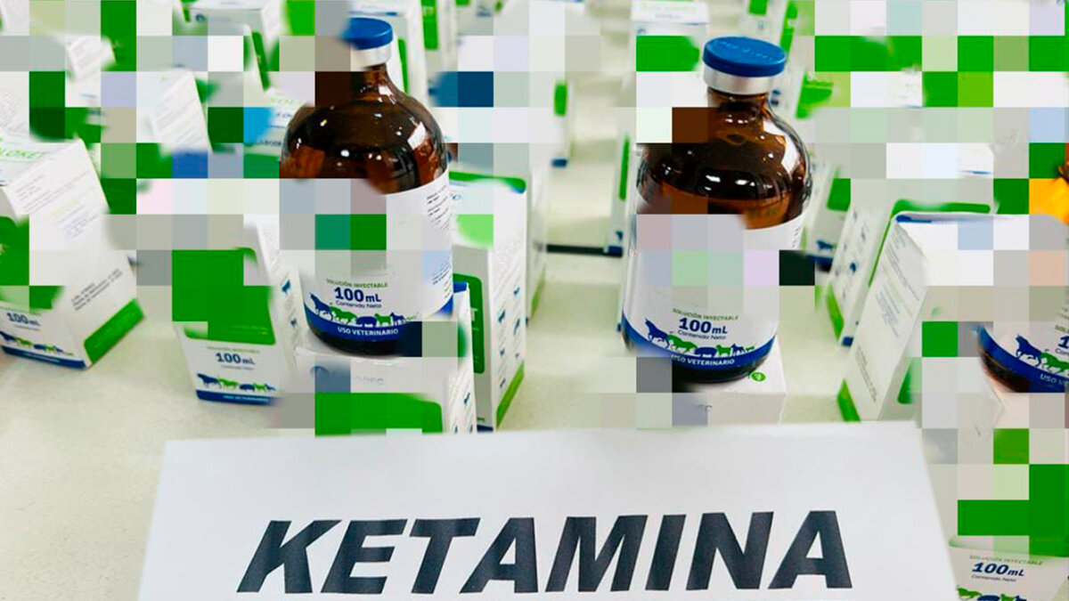 Cayó cargamento en el Terminal de Bogotá Las autoridades lograron incautar en el Terminal de Bogotá un cargamento de Ketamina, un anestésico que es usado para tratamientos en semovientes, pero también es una sustancia que los criminales utilizan para fabricar alucinógenos.