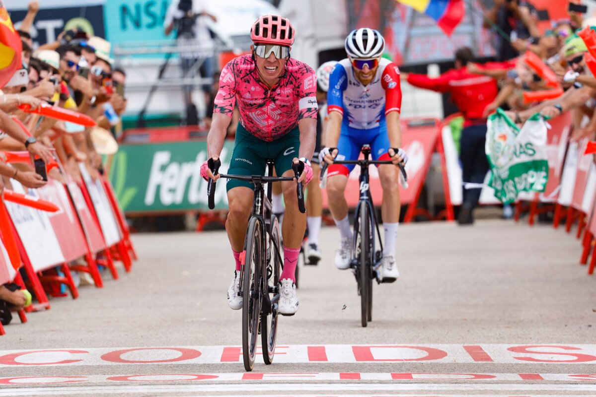 ¡Gigante, Rigo! Ganó la etapa 17 de la Vuelta a España Rigoberto Urán escribió este miércoles un nuevo capítulo dorado en su carrera deportiva. El 'Toro' de Urrao (Antioquia) se hizo gigante en la montaña y se quedó con el triunfo de la etapa 17 de la Vuelta a España.