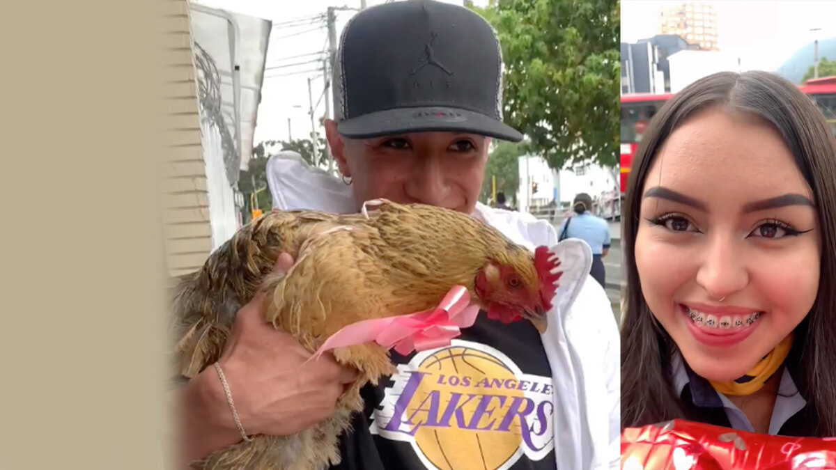 ¿Romántico? Joven le regaló una gallina a su novia de Amor y Amistad En redes sociales se hizo viral el video de un joven que por el Día del Amor y la Amistad decidió regalarle una gallina a su novia. El inusual hecho ocurrió en Bogotá.
