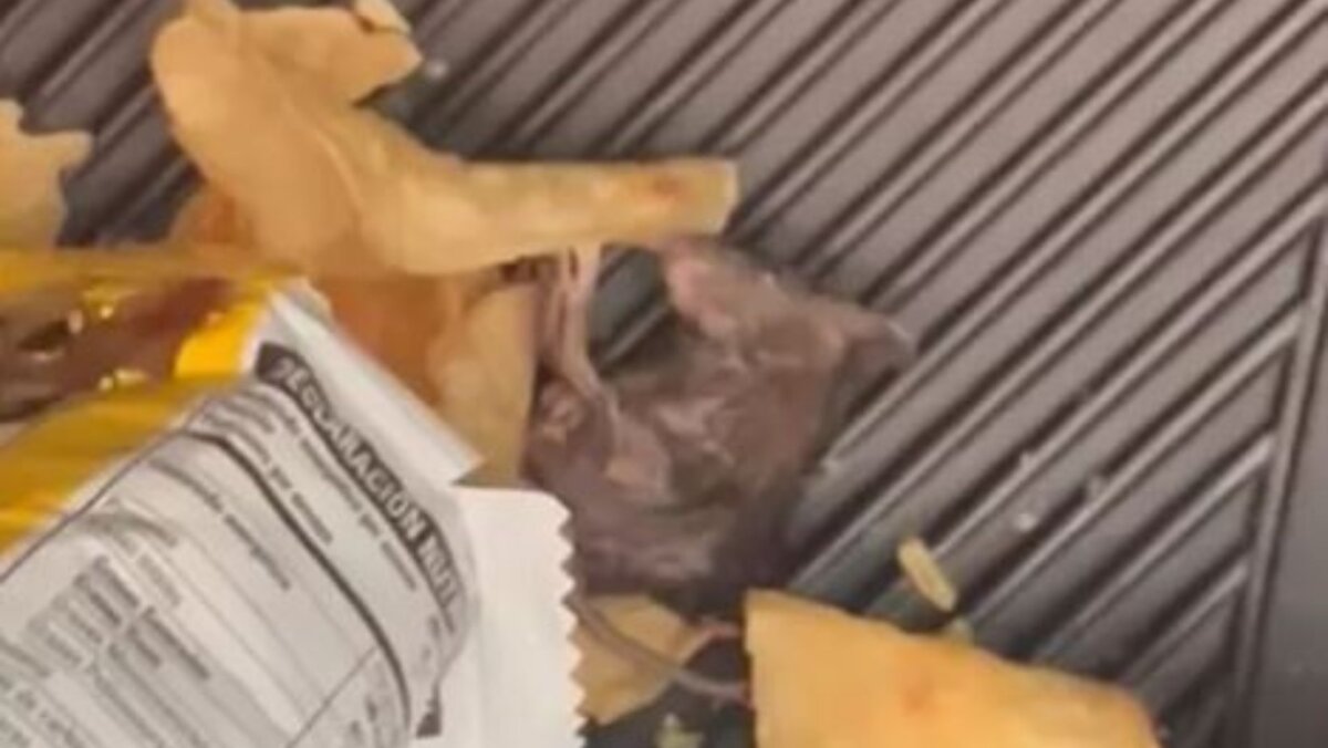 ¡Qué asco! Mujer encontró ratón muerto en sus papas fritas Por medio de las redes sociales, una mujer compartió que tuvo una terrible y asquerosa experiencia con un paquete de papas en el que encontró un ratón muerto.