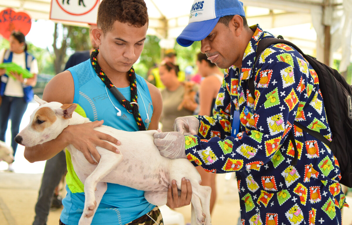 Esterilización gratuita para perros y gatos en Bogotá El Instituto Distrital de Protección y Bienestar Animal abrió nuevos cupos para que los bogotanos que tengan mascota la puedan esterilizar de forma gratuita.