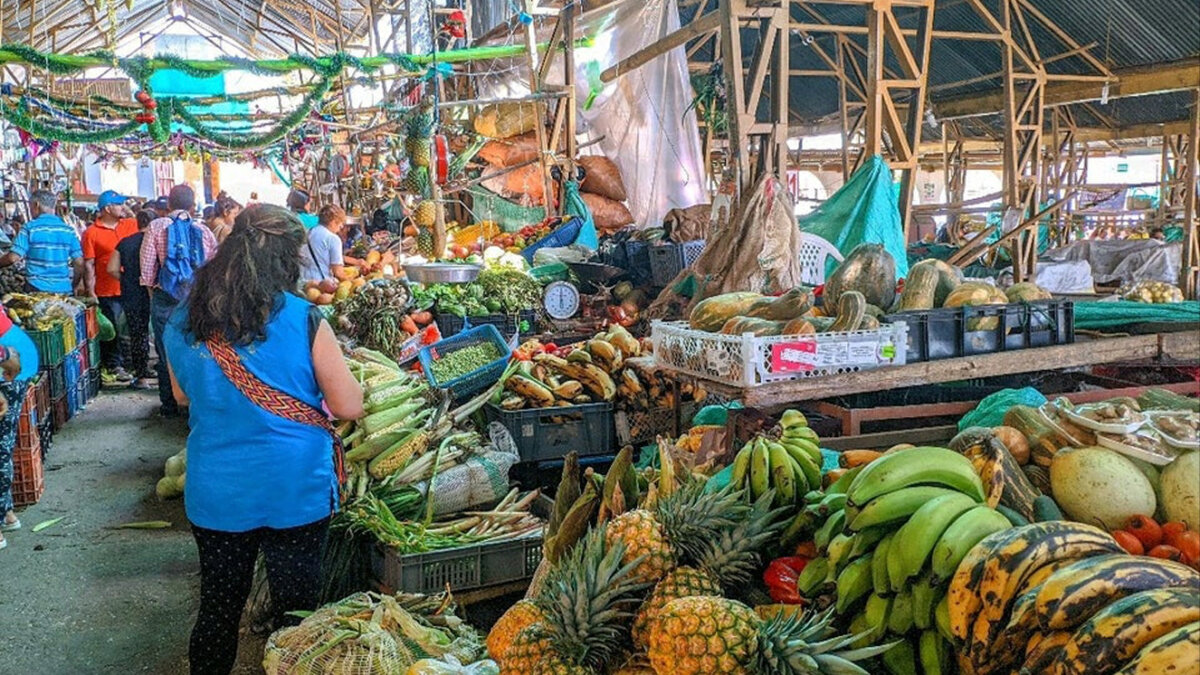 Los mejores productos del campo a la 'La Mesa' Las plazas de mercado se han convertido en el abastecimiento de productos campesinos más importantes de toda la ciudad y el departamento, pues no solo ayudan al alimento campesino, sino que potencian la gastronomía colombiana. 