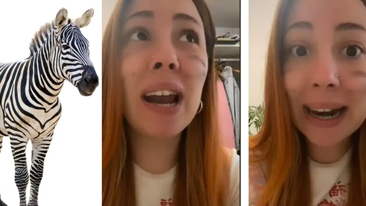 "Mujer cebra" denunció discriminación en un refugio animal Una joven se viralizó en Tiktok por compartir un video en donde denuncia que como “mujer cebra” fue víctima de discriminación en un refugio de animales en España.