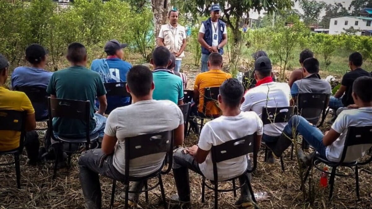 18 jóvenes bajo el poder de las disidencias de las Farc fueron liberados La Defensoría del Pueblo, con un trabajo articulado entre la regional Tumaco y la Personería Municipal, logró la liberación de 18 jóvenes que se encontraban en cautiverio bajo el poder de la columna Iván Ríos de la Segunda Marquetalia perteneciente a las disidencias de las FARC.