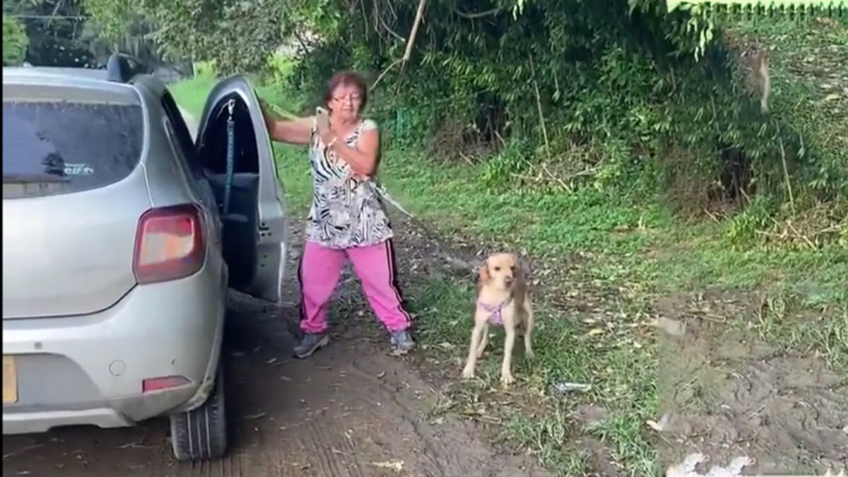 Desalmada: mujer llevaba a su perrito por fuera de un carro en movimiento Un nuevo caso de maltrato animal tiene indignados a los ciudadanos del Valle del Cauca, pues una desalmada mujer llevaba a su perrito por fuera en un carro en movimiento.