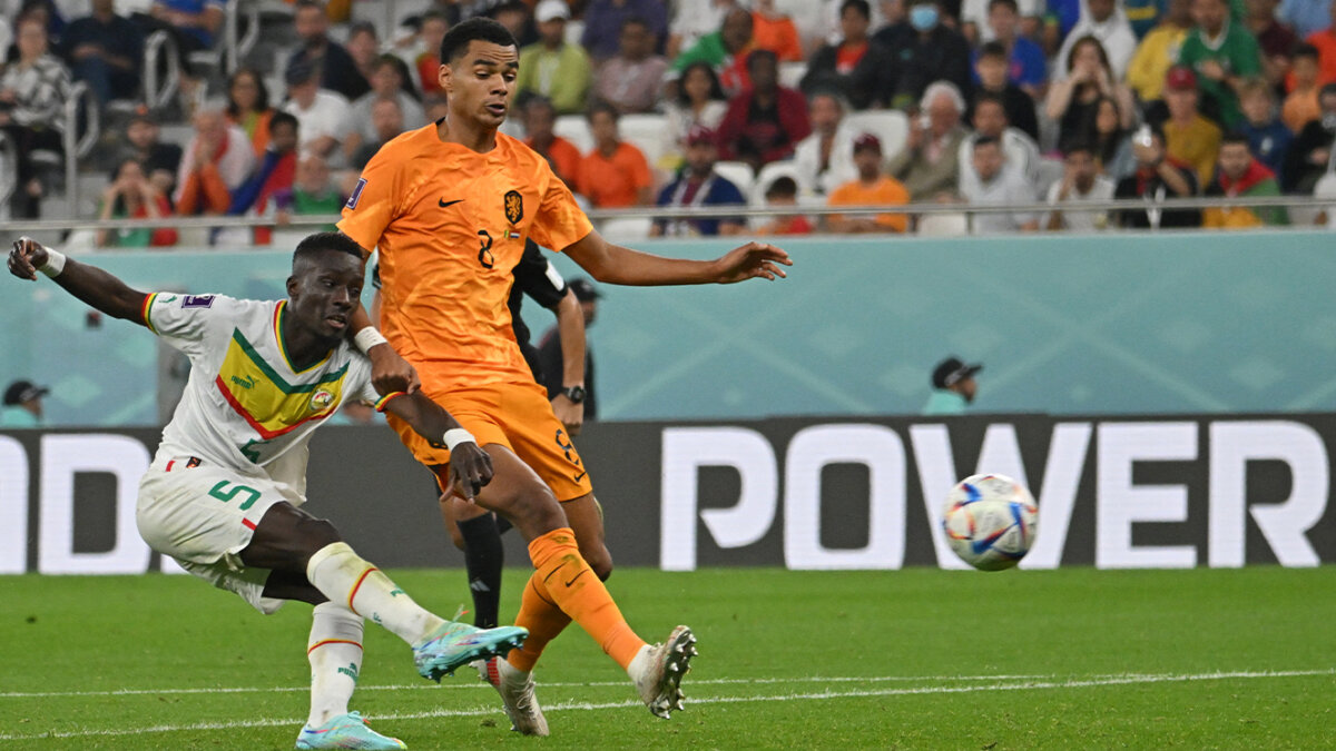 Apretando de todo, Países Bajos derrotó a Senegal en el Mundial Gakpo de Países Bajos marcó el primer tanto del partido frente a Senegal