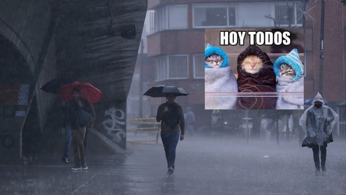 Los memes de la helada que hubo hoy en Bogotá Cabe resaltar que desde las 2:00 p.m. la ciudad se oscureció y las lluvias comenzaron a azotar diferentes localidades de Bogotá; las más afectadas por los aguaceros fueron Usme, Usaquén, San Cristóbal y Ciudad Bolívar.