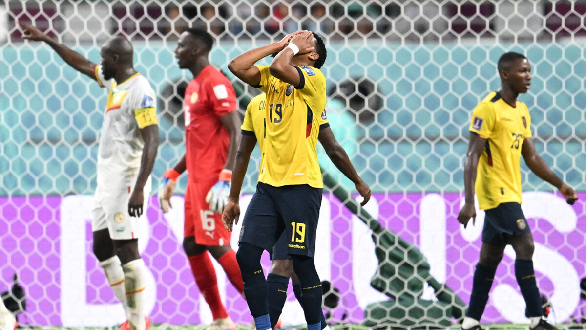 Ecuador se queda fuera del Mundial Salió a empatar y acabó perdiendo. Ecuador, una de las sensaciones de esta Copa Mundo, no pudo ver cumplido el sueño de clasificarse para los octavos de final del Mundial de Catar, tras perder 2-1 contra Senegal, este martes, en el Khalifa International Stadium de Catar.