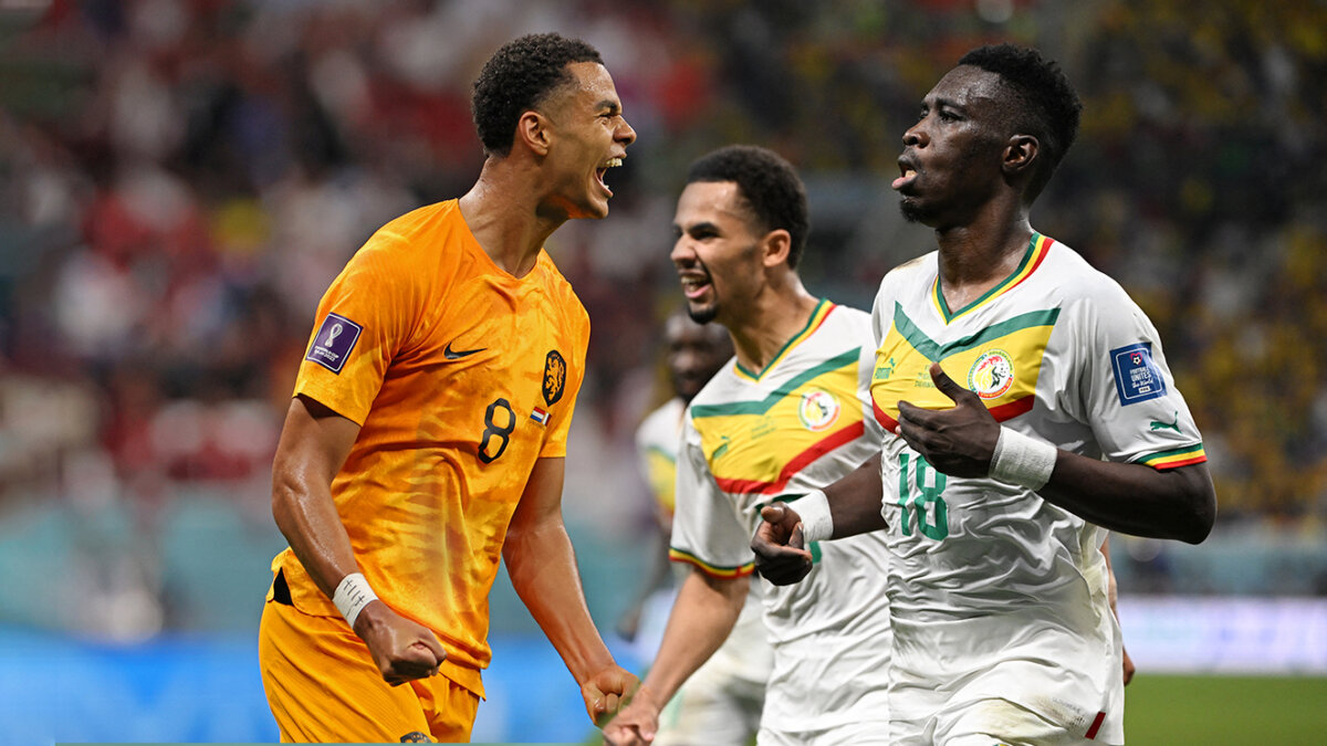 Países Bajos - Catar y Ecuador - Senegal definen los primeros clasificados a los octavos de final El Grupo A se define en este momento un cupo a la fase de octavos de final del Mundial, en esta ocasión, serán las selecciones de Países Bajos, Catar, Senegal y Ecuador.