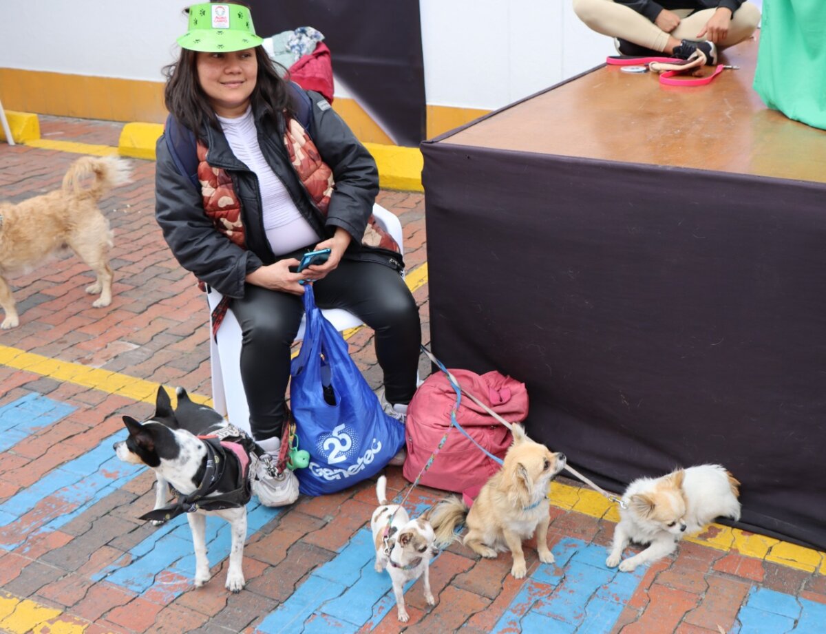 ¡Qué ternura! Cientos de mascotas participaron en la carrera 'Gua' de Bogotá Más de 300 personas acompañadas de sus mascotas estuvieron en la carrera más ´Gua´ de Bogotá, competencia que fue transformada en un juego y sonrisas para los cientos de asistentes.
