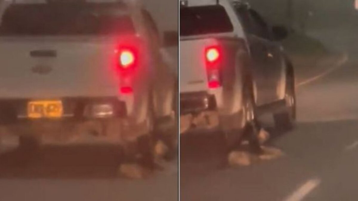 Infame conductor que arrastró a un perrito en plena autopista se entregó a la Policía En la mañana de este domingo, 18 de diciembre, en de redes sociales comenzó a circular un video que evidencia otro caso de maltrato animal con un perrito.