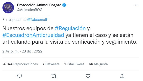 Críticas a Unicentro por el trato que reciben perros del centro comercial Hasta la presentadora Mónica Rodríguez salió en defensa de los perros de Unicentro que, según el video publicado, están en precarias condiciones.
