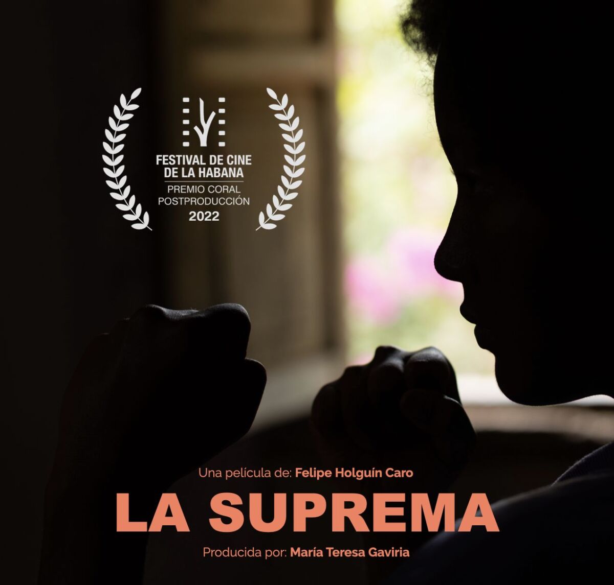 Película inspirada en la vida de Pambelé logra galardón internacional Un nuevo galardón recibió el cine colombiano, esta vez, en el Festival de Cine de La Habana (Cuba).