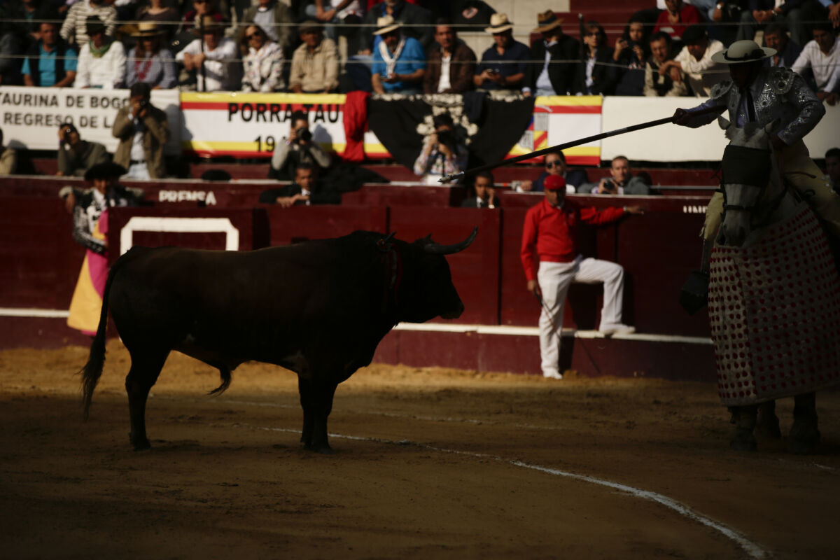 Volverían las corridas de toros a 'La Santamaría' en Bogotá