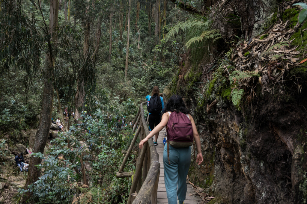 Pille las caminatas ecológicas que podrá hacer en enero La Alcaldía de Bogotá informó que los ciudadanos podrán a asistir a diferentes caminatas por los senderos de la ciudad, un plan ideal para salir de la rutina y disfrutar en compañía de familiares y amigos.